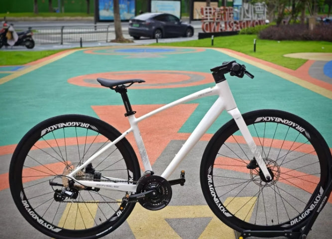 Smile Road Bike 24S with Flat Handle Bar: A Blend of Performance & Style