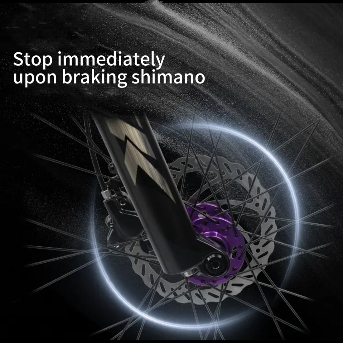 Behind the Scenes: Cycletrack Pro Team's Intense Training with the Model Sky