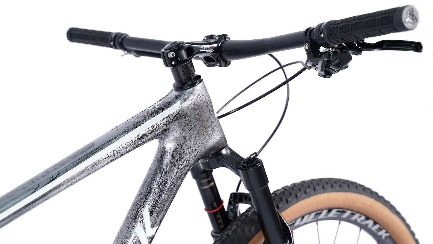 Cycletrack carbon frame mountain bike sram sx-12speed 29er MTB bicycle carbon mountainbike bicycles chinese carbon 29er bike