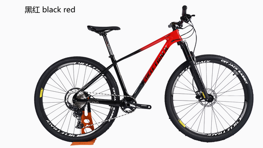 Mountain bikes have some special maintenance requirements due to their unique riding environments and uses.
