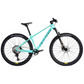 Cycletrack Knight Unisex Carbon Fiber Mountain Bike with 12-Speed and Hydraulic Disc Brakes